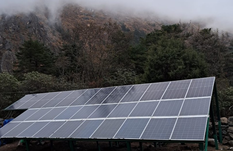 Committed to a Greener Tomorrow