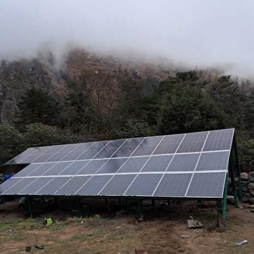 Committed to a Greener Tomorrow