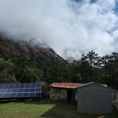 Committed to a Greener Tomorrow